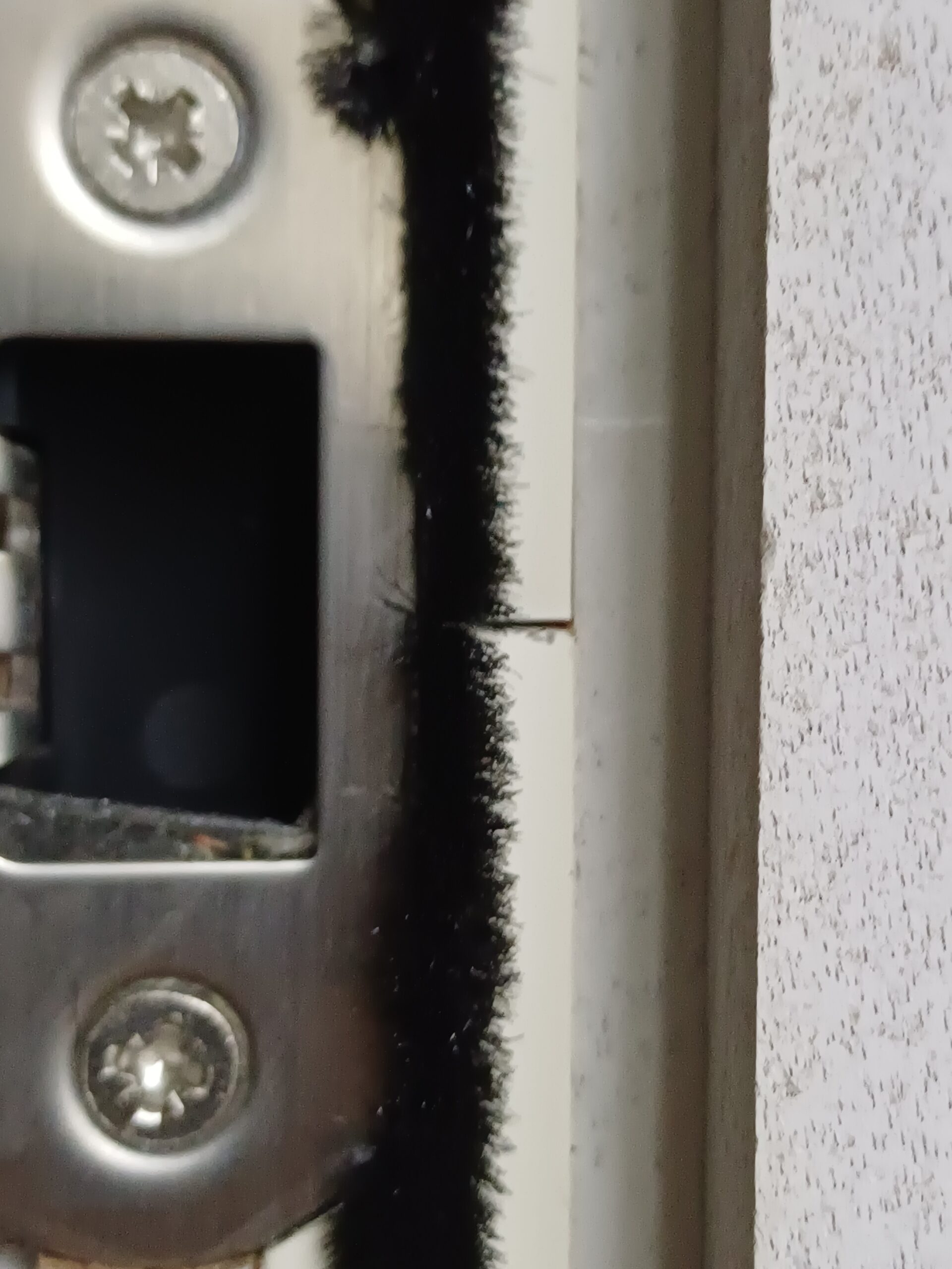 Fire door intumescent and smoke seals