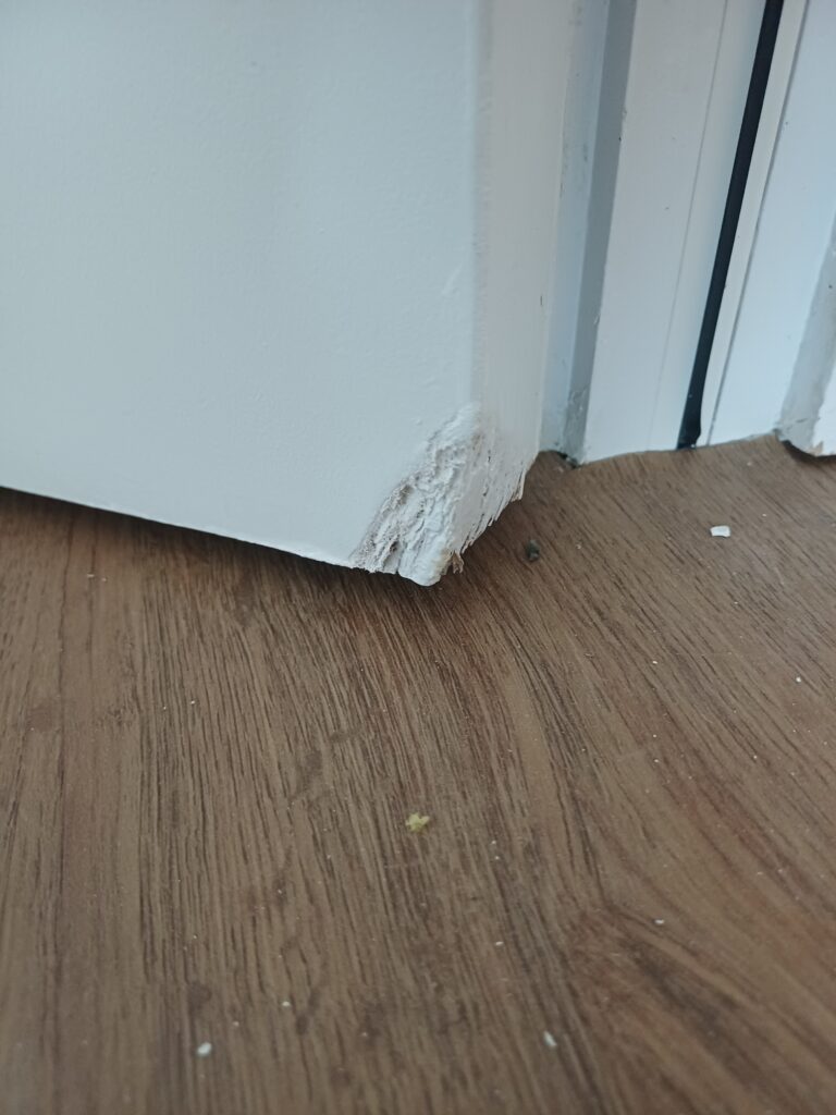 Fire door damage and alterations requiring inspection before remedial work