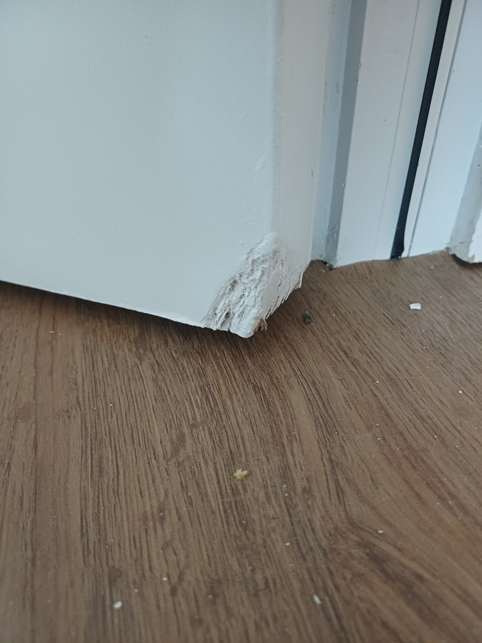 Fire door damage and alterations